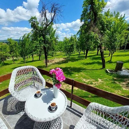Vikendica Gaj Villa Gornji Milanovac Eksteriør bilde