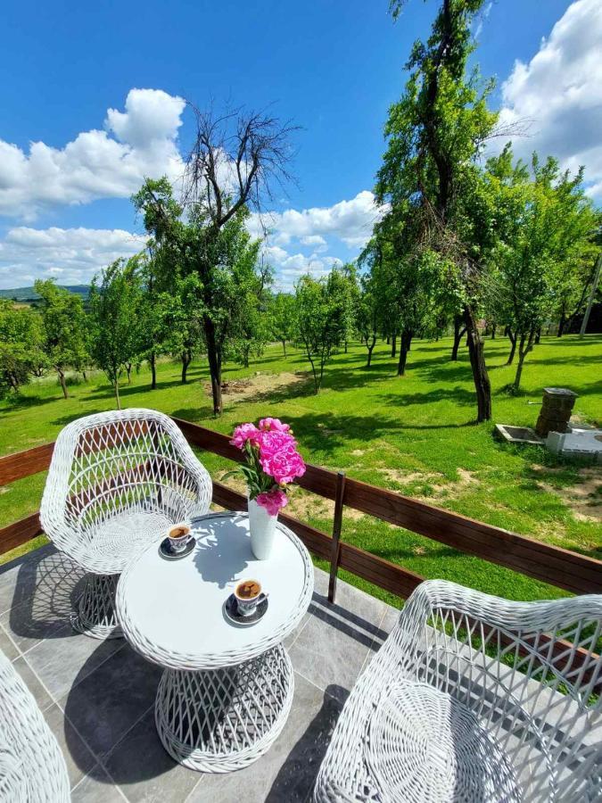 Vikendica Gaj Villa Gornji Milanovac Eksteriør bilde
