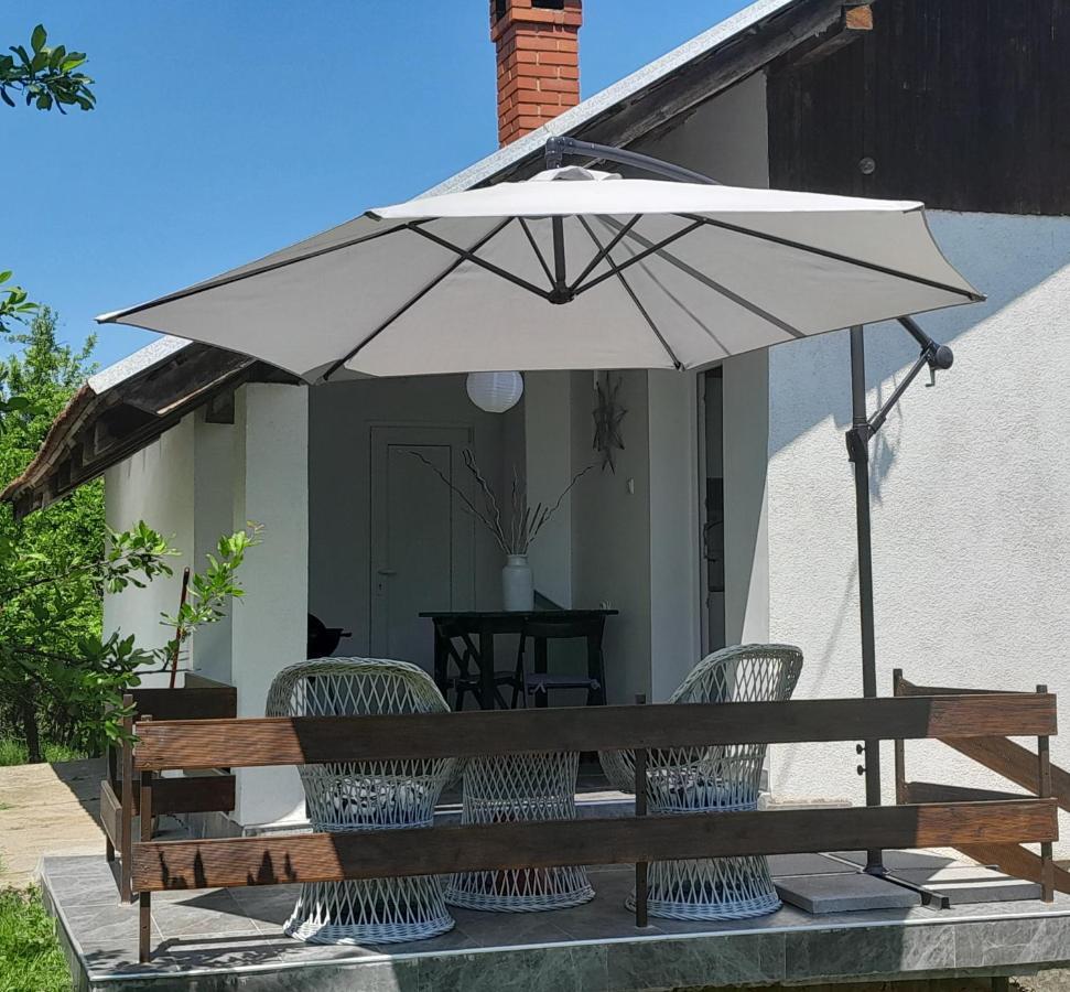 Vikendica Gaj Villa Gornji Milanovac Eksteriør bilde