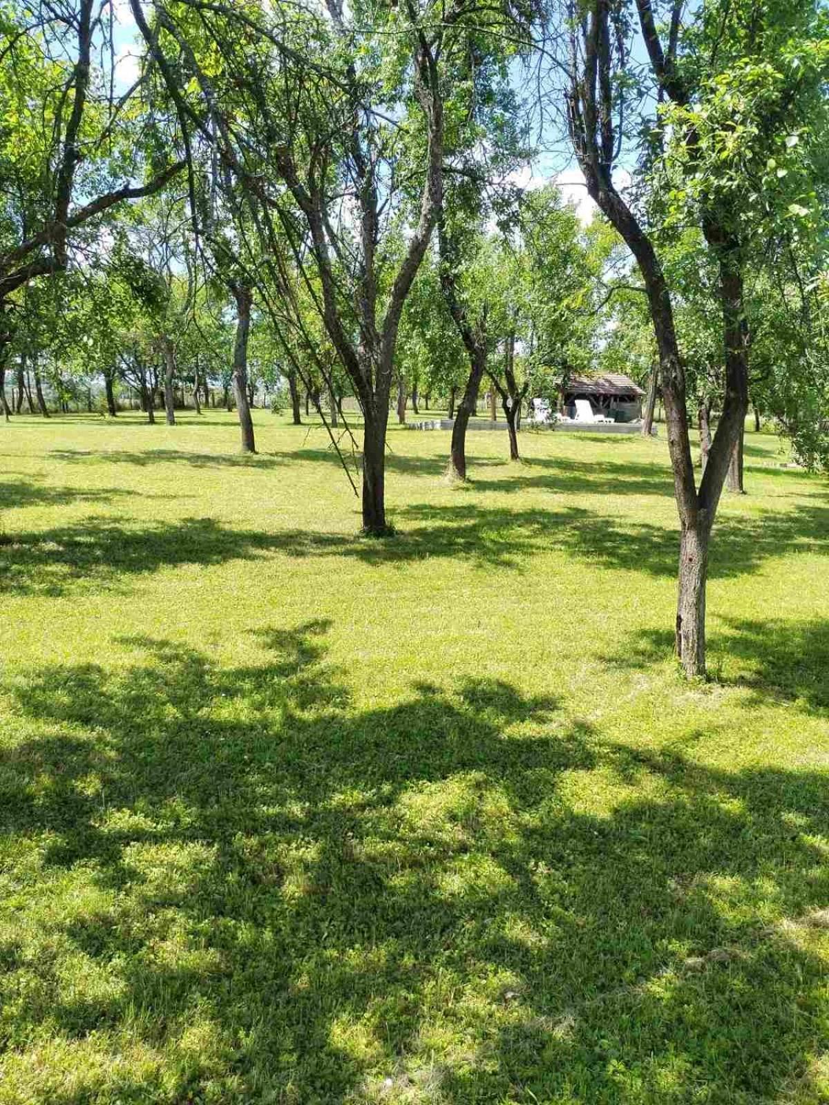 Vikendica Gaj Villa Gornji Milanovac Eksteriør bilde